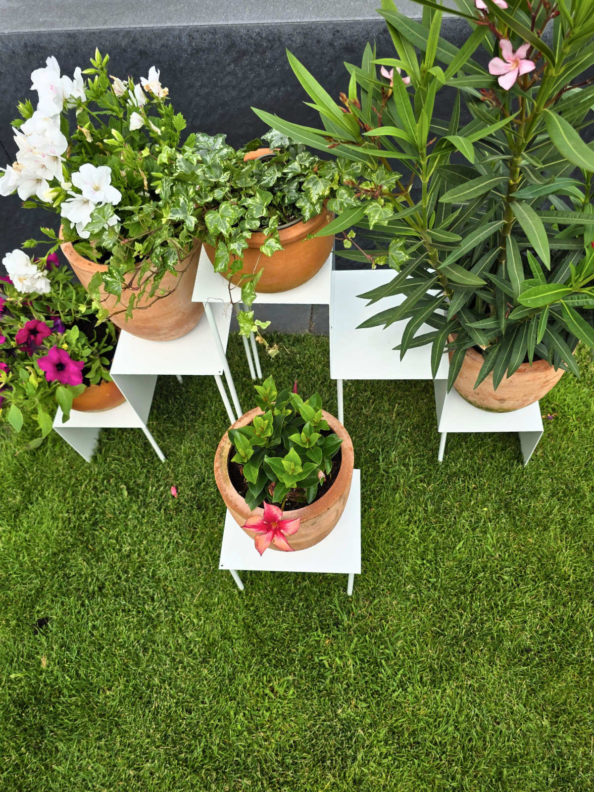 Zdjęcie przedstawia duży kwietnik składający się z trzech różnych wielkości części. Kwietnik jest cały w kwiatach w glinianych doniczkach. Kwietnik jest biały. Stoi na trawie w ogrodzie. Zdjęcie robione z góry.