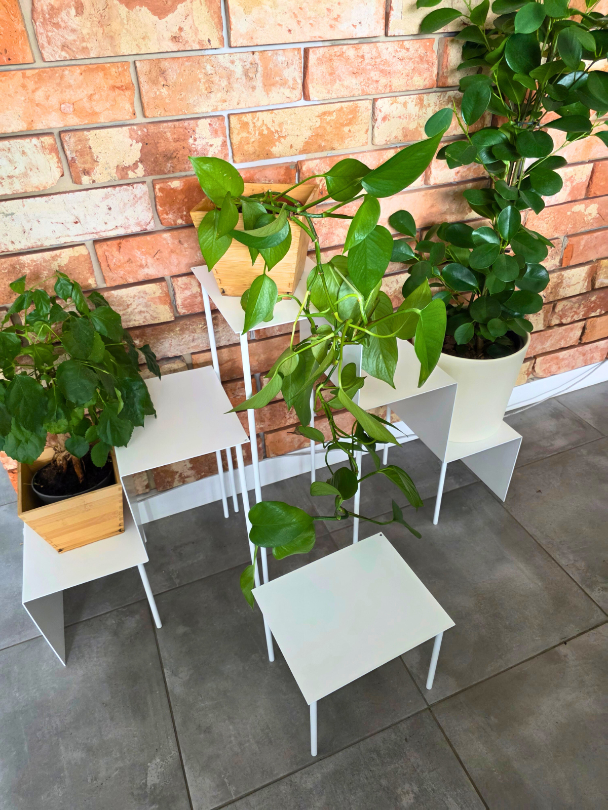 Zdjęcie przedstawia duży kwietnik składający się z trzech różnych wielkości części. Na kwietniku stoją trzy duże, zielone rośliny. Kwietnik jest biały. Stoi na tle ceglanej ściany.