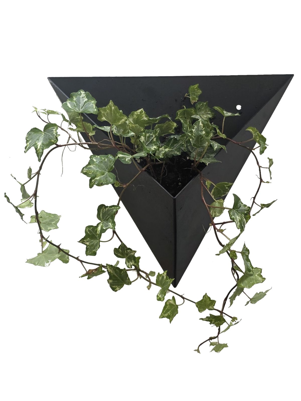 kwietnik-doniczka-do-powieszenia-na-scianie