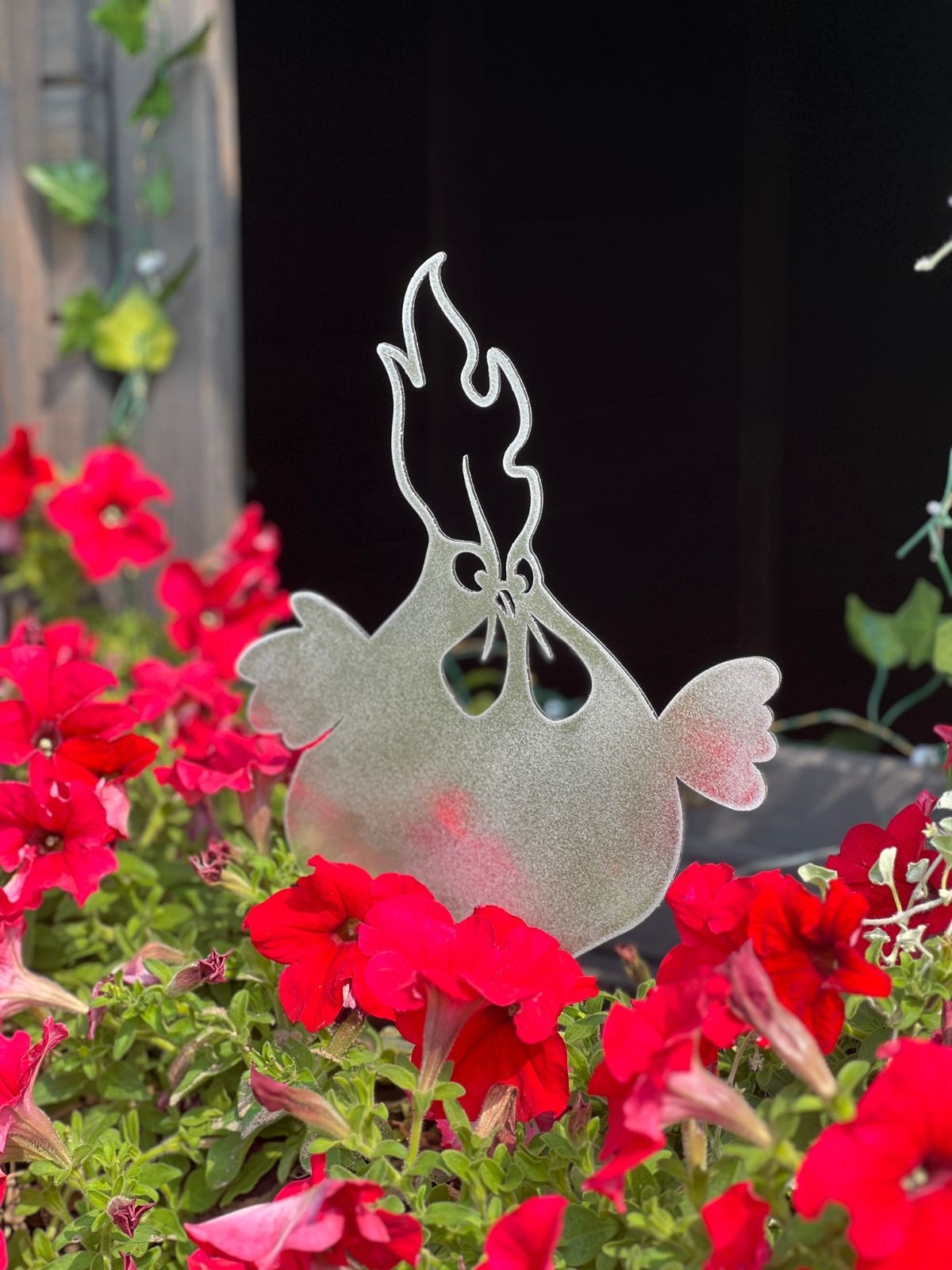 zestaw-smiesznych-wbijanych-kogutow-do-doniczek