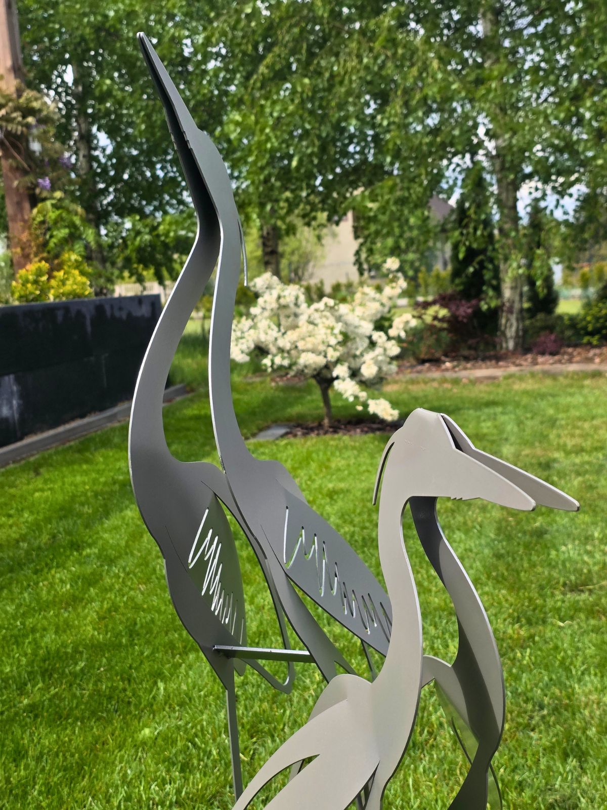 zestaw-dwoch-czapli-szarych