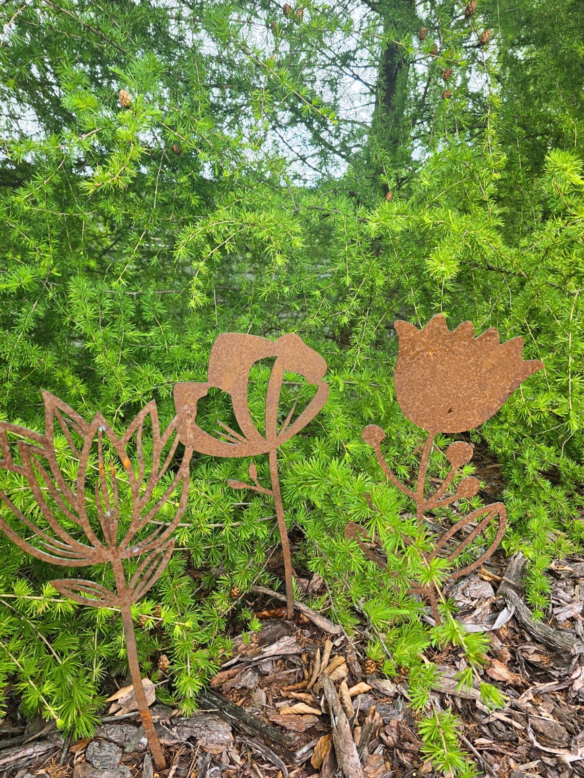 kwiaty corten wbite w ogrodzie