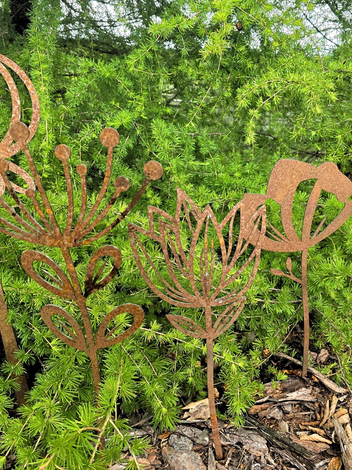 Kwiaty corten na zielonym tle