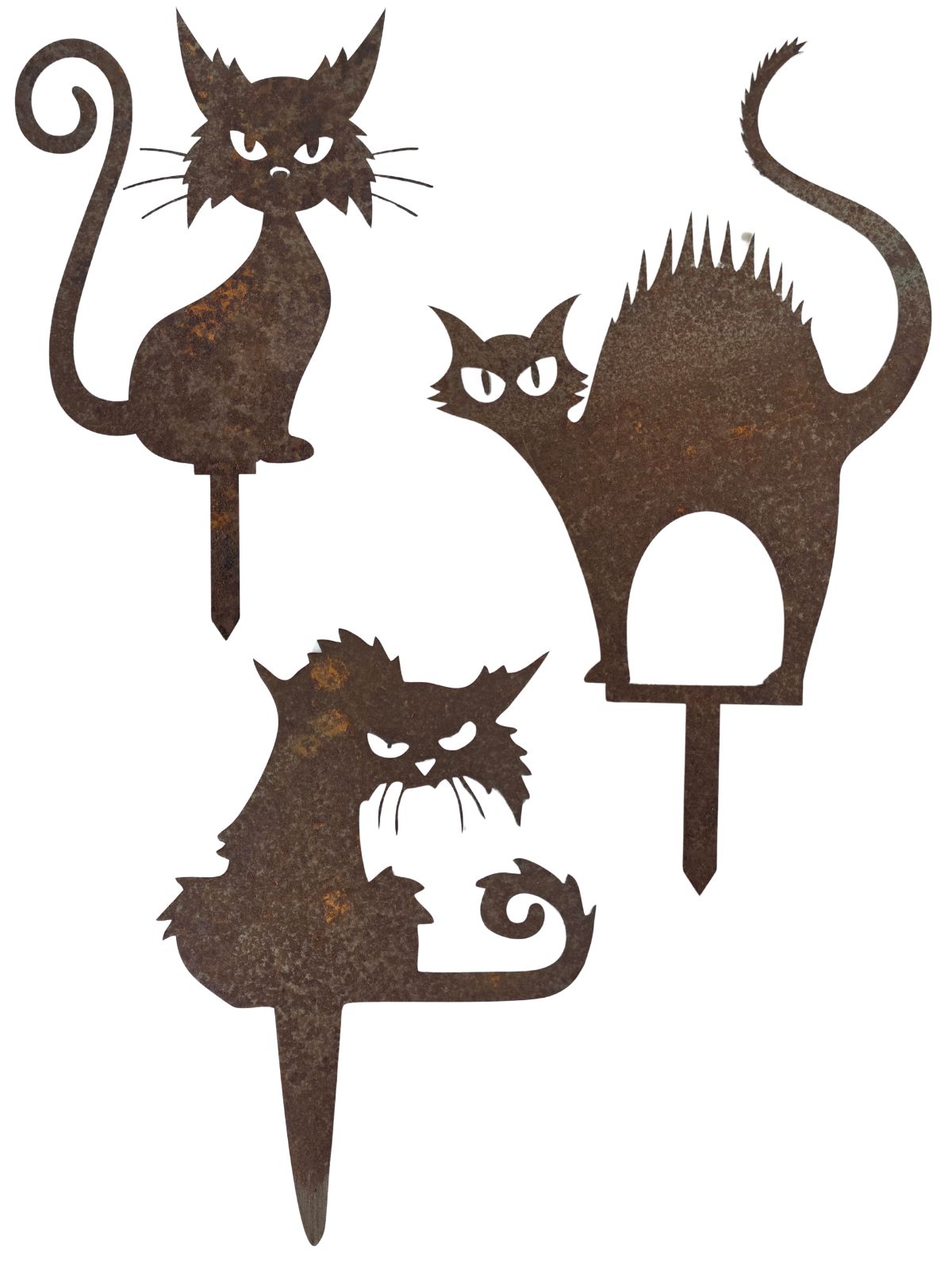 smieszne-kotki-zestaw