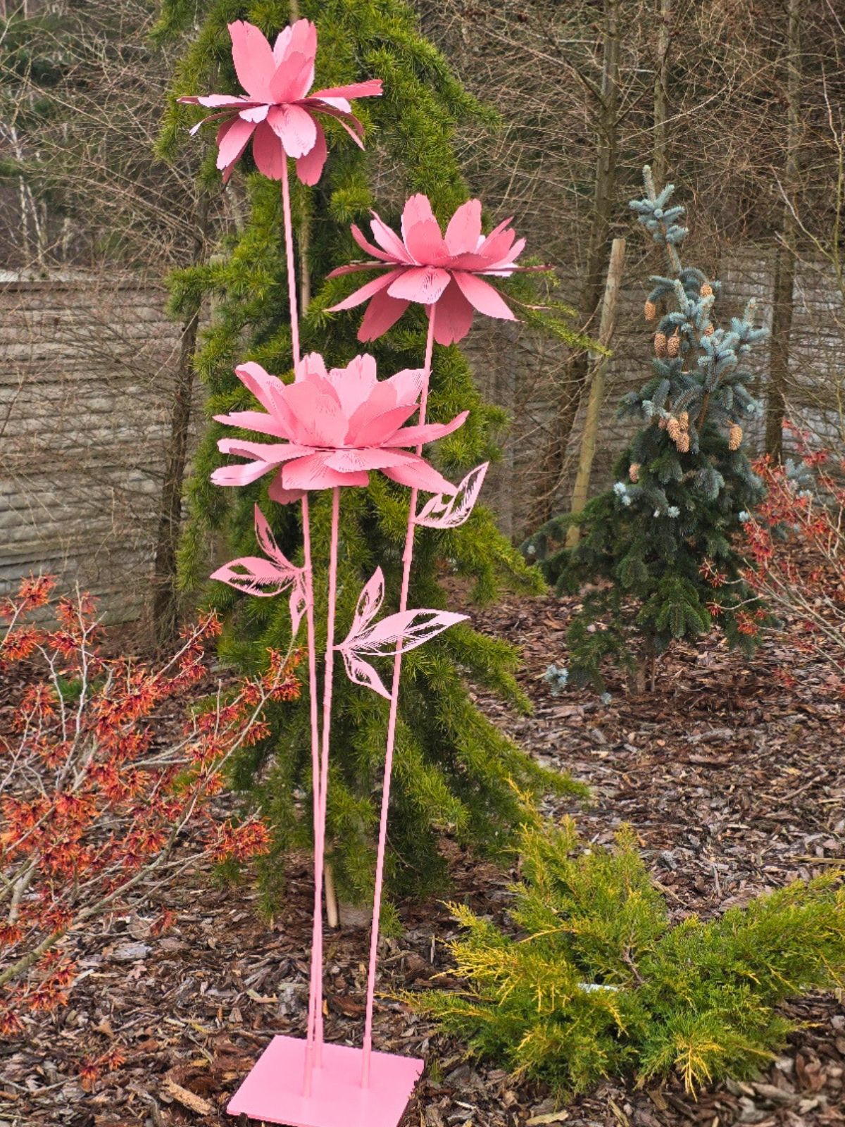 niemarznące kwiaty do ogrodu