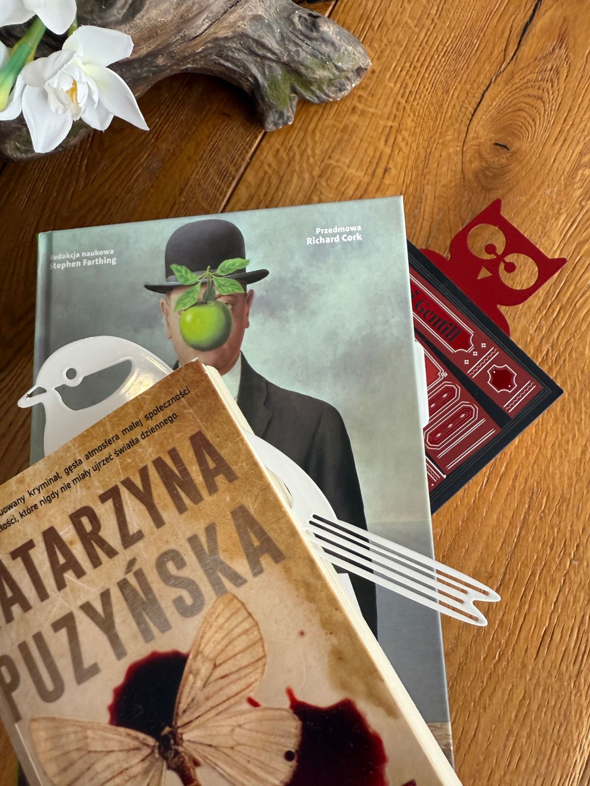 Wiele różnych zakładek do książek