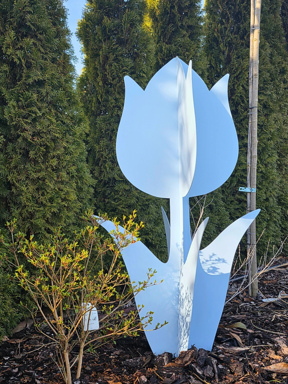 Metalowa rzeźba przypominająca kwiat tulipanu umieszczona na ziemi w ogrodzie.