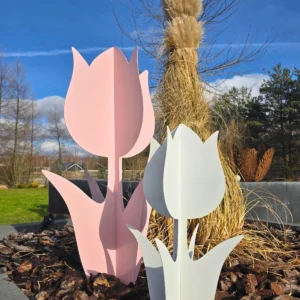 Różowy i biały ozdobny tulipan ustawione w ogrodzie w słoneczny dzień.